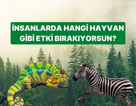 İnsanlarda Hangi Hayvan Gibi Etki Bırakıyorsun?