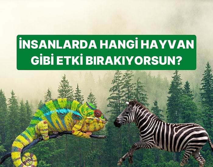 İnsanlarda Hangi Hayvan Gibi Etki Bırakıyorsun?