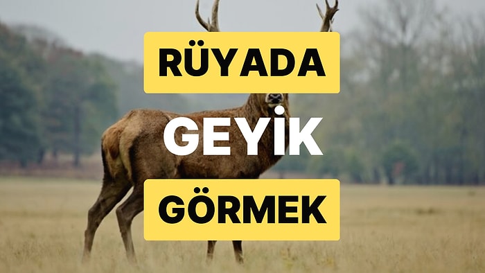 Rüyada Geyik Görmek: Büyük İşlere mi İmza Attınız?