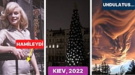 Doğanın Mucizelerinden Tarihi Olaylara Kadar Kâh Hüzünlenip Kâh Dehşete Sürükleneceğiniz 15 İlginç Görsel