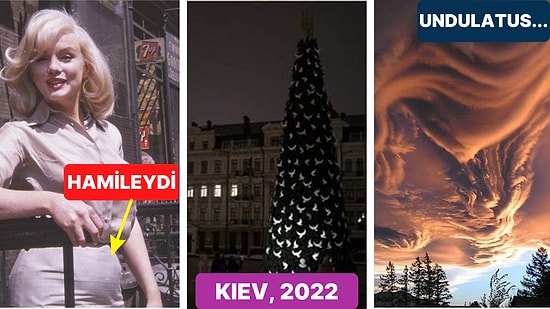 Doğanın Mucizelerinden Tarihi Olaylara Kadar Kâh Hüzünlenip Kâh Dehşete Sürükleneceğiniz 15 İlginç Görsel
