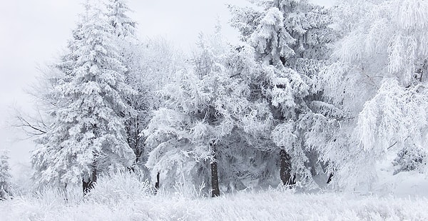 KIŞ! ❄️ ☃️