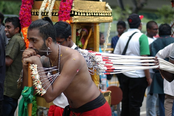 3. 'Thaipusam' adı verilen kutlamalarda katılımcılar bedenlerini iğneler ve sivri uçlu çubuklarla deliyorlar.