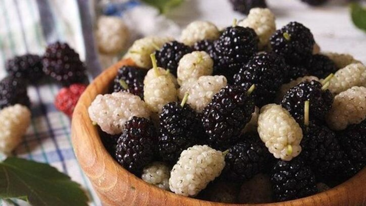 Rüyada Dut Yemek Sıkıntılarınız Geride Kalacak ve Huzurlu Bir