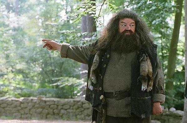 2. Hagrid, bir Slytherin miydi?
