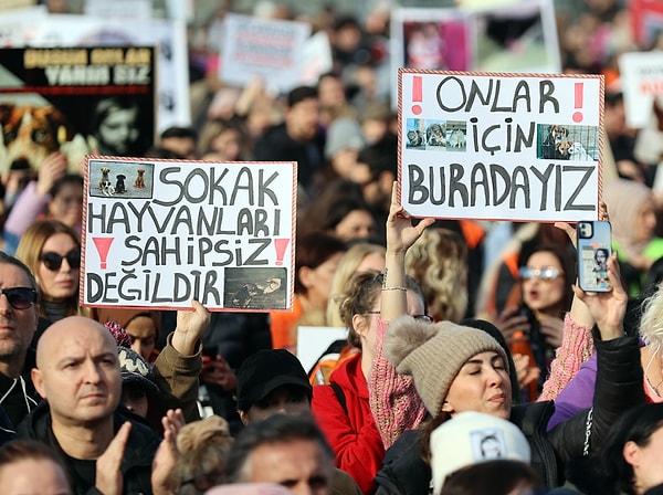 Pati Koruyucuları Hayvanları Koruma Derneği tarafından düzenlenen ve hayvan hakları savunucusu dernek ile toplulukların yer aldığı mitinge katılanlar, "Sessizlerin sesiyiz", "Hayvana işkenceye son", "Sokağıma dokunma", "Hayvanlara adalet" yazılı pankartlar taşıdı.