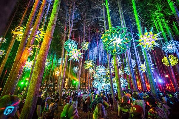 1. Daha önce Electric Forest Müzik Festivali diye bir festival duymuş muydunuz?