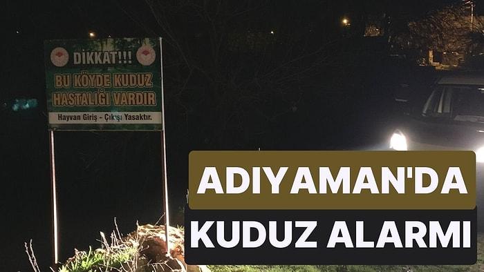 Adıyaman'da 3 Köy, Kuduz Yüzünden 6 Ay Karantinaya Alındı