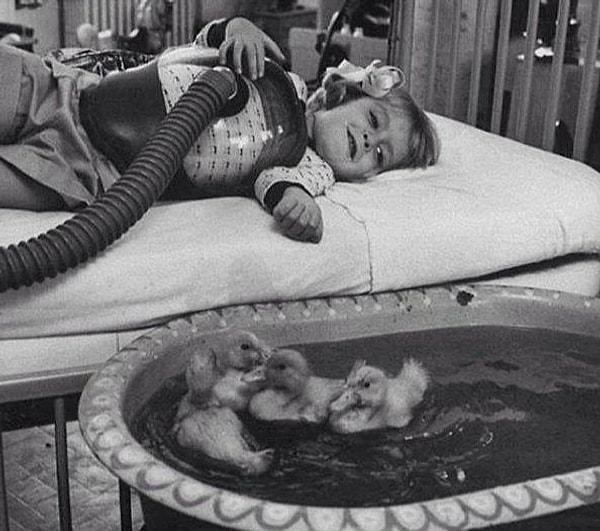 5. 1956 yılında ördekler tıbbi terapide kullanılıyordu.