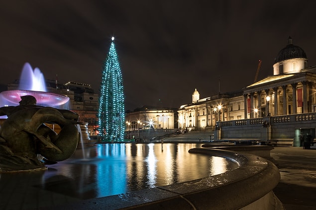 2. La Norvège offre chaque année au Royaume-Uni un arbre de Noël de plus de 20 mètres de haut.