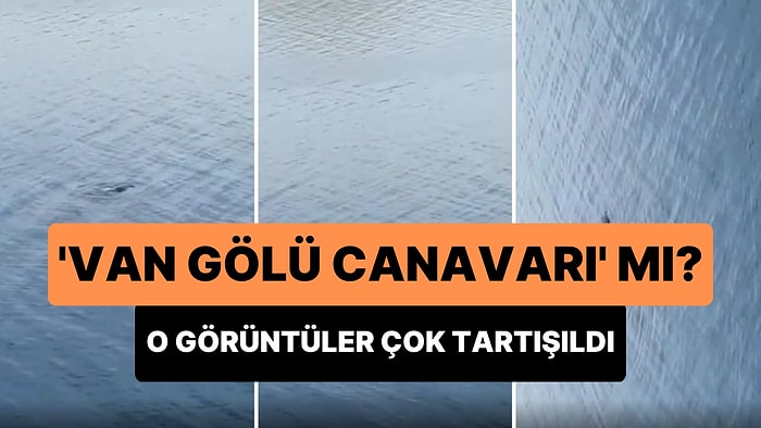 Gölde Gördüğü Yüzen Canlıyı 'Van Gölü Canavarı' Diyerek Paylaşan Vatandaş Ortalığı Karıştırdı