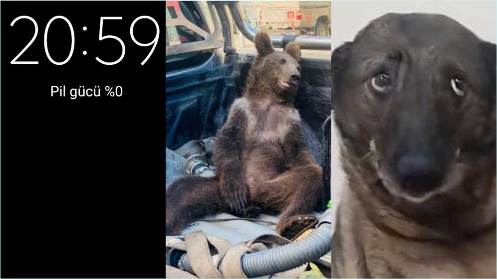 Zorlu Geçen 2022 Yılını Tek Bir Görselle Anlatan Twitter Takipçilerimiz