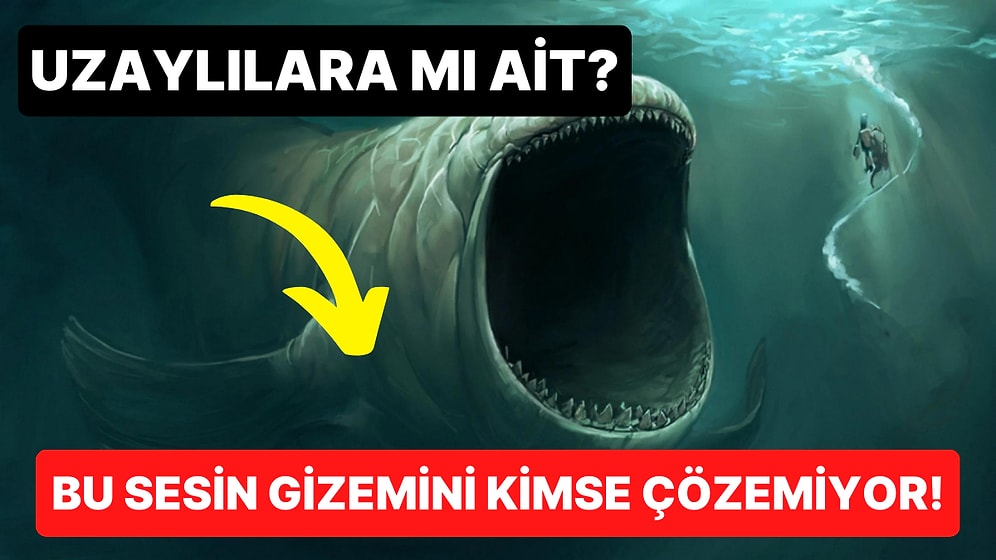 Gizemi Yıllarca Çözülemeyen Bu Sesin Ne Olduğunu Bakalım Siz Anlayabilecek misiniz?