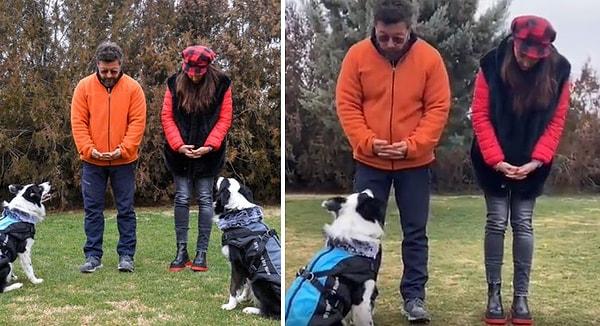 Köpek eğitmeni Tarkan Özvardar o videoda, köpeklerin sarkan şeylere gelip koklamak isteyeceği için ellerin sarkar pozisyonda olmaması gerektiğini söyledi.