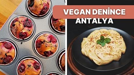 Vegan Mutfak Arayanlar Buraya! Antalya'nın En İyi Vegan Kafeleri