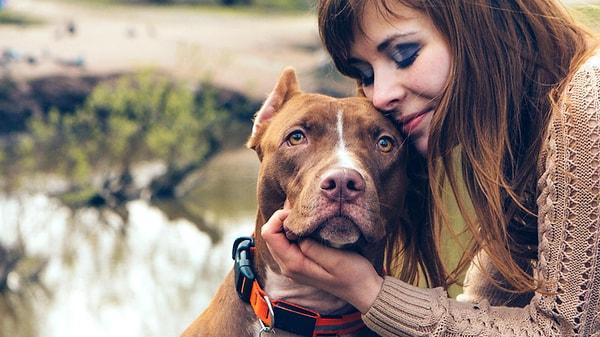 1. İnsanlar, köpeklere karşı diğer insanlara olduklarından daha fazla empati sahibidir.