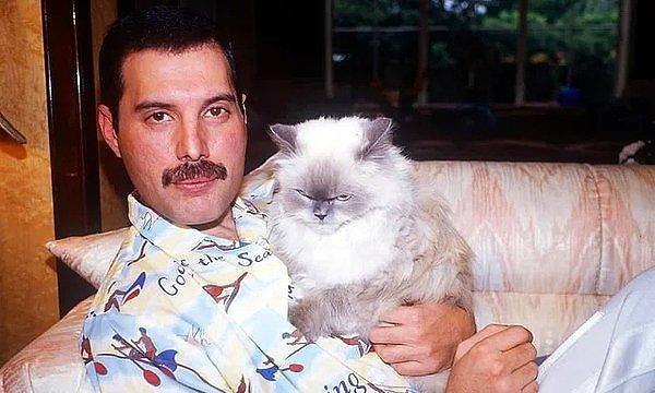 5. Freddie Mercury kedileri o kadar çok severdi ki kedilerinin portelerinin bulunduğu bir yeleği vardı. Hatta kediler için şarkı yazıp bazı albümlerini dünyadaki tüm kedilere ve kediseverlere ithaf etti.
