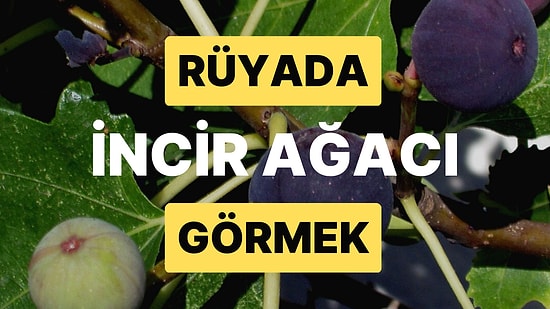 Rüyada İncir Ağacı Görmek: Daha Fazla Çaba Göstermeniz Gerekebilir!