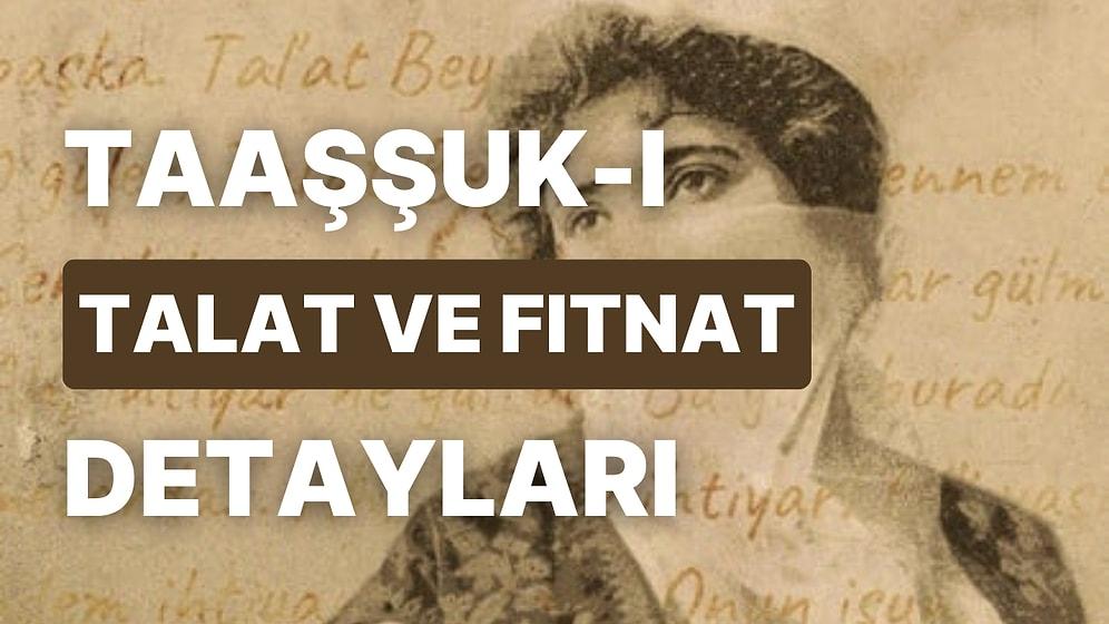 İlk Yerli Romanımız: Taaşşuk-ı Talat ve Fitnat Konusu Nedir, Yazarı Kimdir?