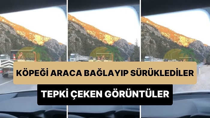 Konya-Antalya Yolunda Araca Bağlanmış Bir Şekilde Yerde Sürüklenen Köpeğin Görüntüleri Tepki Çekti