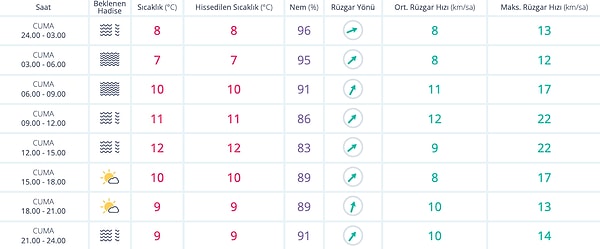 30 Aralık Cuma İstanbul Hava Durumu