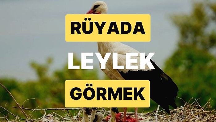 Rüyada Leylek Görmek: Yakın Zamanda Hayırlı Bir Kısmetle Evlenebilirsiniz!