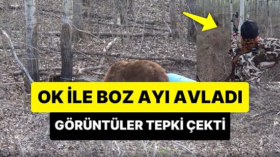 Ormanda Yiyecek Arayan Boz Ayıyı Ok ile Avlayan Kadının Görüntüleri Tepki Çekti