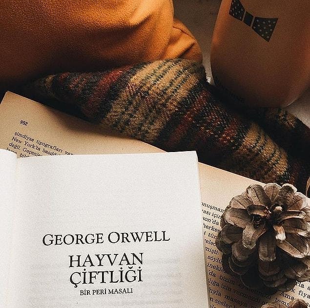 What is Animal Farm about?