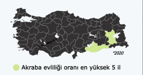 2020 yılında tüm evlilikler içinde akraba evliliği oranı en yüksek illerin ise Şanlıurfa, Mardin, Muş, Bitlis ve Siirt olduğu görülüyor.