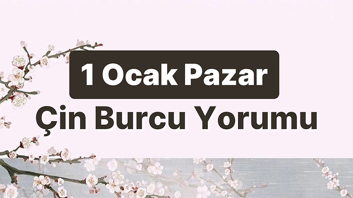 1 Ocak Pazar Çin Burcuna Göre Günün Nasıl Geçecek?