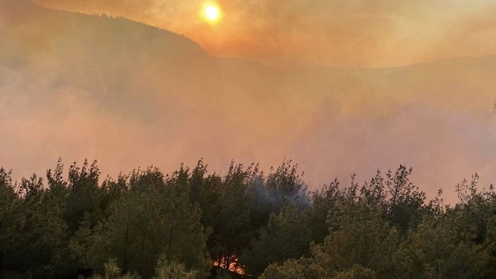 Osmaniye'de Orman Yangını Çıktı: 5 Saat Sonra Kontrol Altına Alındı