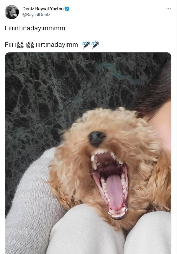 Köpeğinin fotoğraflarını çekip eğlenceli paylaşımlar yapmaktan da çekinmiyor. "Bu şarkı ve Antidepresan kafamın içinde kira vermeden yaşıyor. Mabel'den tazminat istiyorum 🥲"