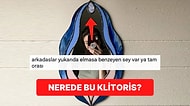 Klitorisin Yerini Akla Hayale Gelmeyecek Örneklerle Anlatarak Güldüren 15 Kişi