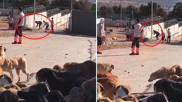 Konya'daki bir barınakta kürekle köpek öldüren ve haklarında 6'şar yıla kadar hapis cezası istenen Murat Bacak ile Sefa Çakmak ilk duruşmada tahliye oldu.