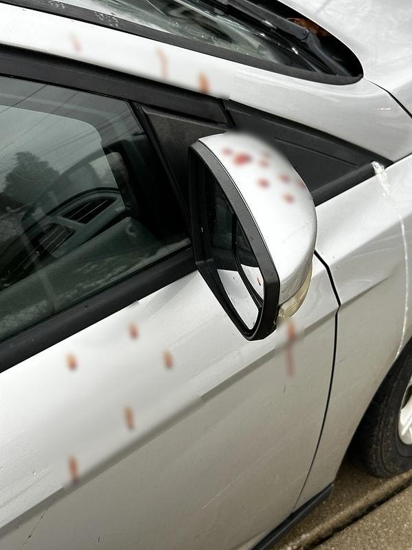 2. "Dışarıya çıkmak üzereyken arabamda kan lekeleri gördüm."