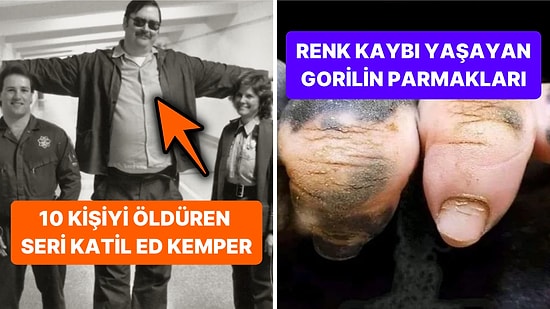 'Bugünlük Bu Kadar İnternet Yeter' Demenize Sebep Olacak Tuhaflıkta 15 Acayip Görsel