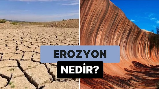 Yağış Suları ve Rüzgarla Toprağın Aşınması Olayı: Erozyon Nedir?
