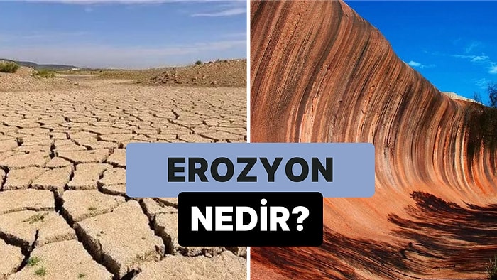 Yağış Suları ve Rüzgarla Toprağın Aşınması Olayı: Erozyon Nedir?