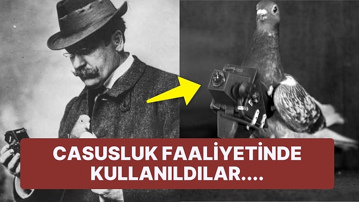 Julius Neubronner'ın Tarihe Damgasını Vuran İcadı Güvercin Fotoğrafçılığının Akılalmaz Hikayesi