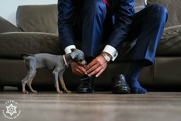 8. "Такой маленький, такой милый" Фото Хосе Игнасио Руиса (Мадрид)