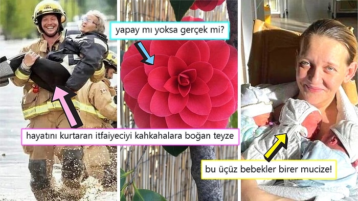 Gördüğünüz Anda İçinizin Yağlarını Eritip Sizi Pamuk Gibi Yapacak Birbirinden Etkileyici 15 Görsel