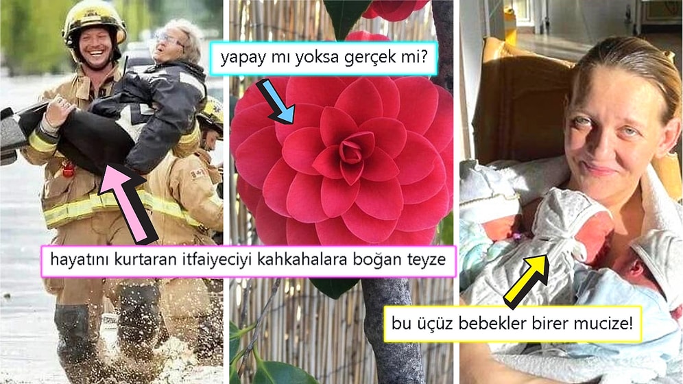 Gördüğünüz Anda İçinizin Yağlarını Eritip Sizi Pamuk Gibi Yapacak Birbirinden Etkileyici 15 Görsel