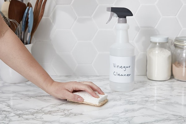 4. Wipe your house with vinegar. Maybe you could also try hanging garlic on your door.