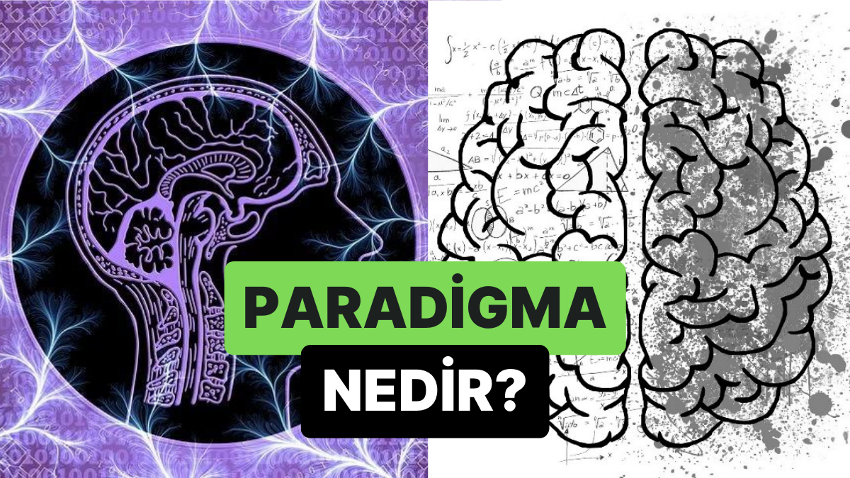 Değerler Dizisi: Paradigma Nedir?