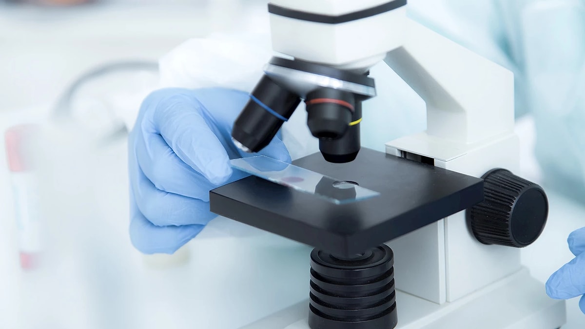 Organlarda Meydana Gelen Değişimleri İnceleyen Bilim Dalı Patoloji Nedir?