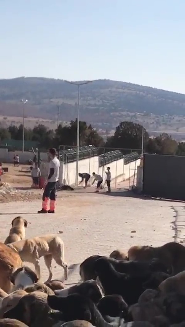 6 yıla kadar hapisleri istenen Bacak ve Çakmak, 2 Ocak'ta görülen duruşmada ise tahliye edilmişti.