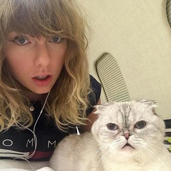 Listenin üçüncü sırasında ise ünlü şarkıcı Taylor Swift'in, Scottish Fold cinsi "Olivia Benson" isimli kedisi yer alıyor.