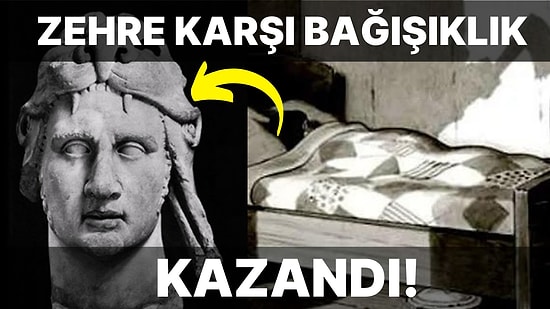 Hem Korkmanıza Hem de Beyninizde Minik Fırtınalar Kopmasına Neden Olacak 15 Enteresan Bilgi