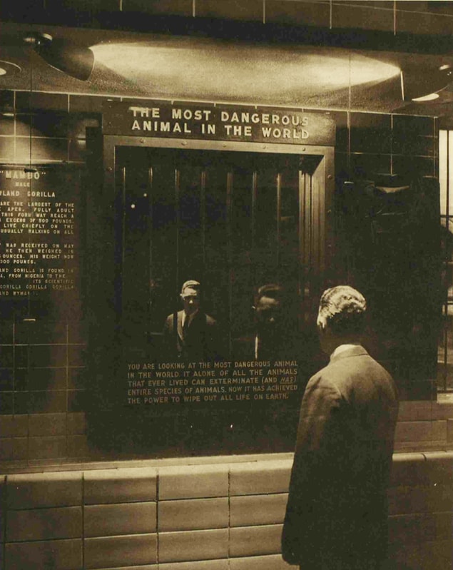 Hem Korkman�za Hem de Beyninizde Minik F�rt�nalar Kopmas�na Neden Olacak 15 Enteresan Bilgi