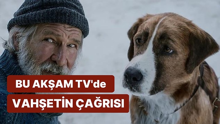 Vahşetin Çağrısı Filminin Konusu Nedir, Oyuncuları Kimdir? Vahşetin Çağrısı Filmi Hakkında Merak Edilenler